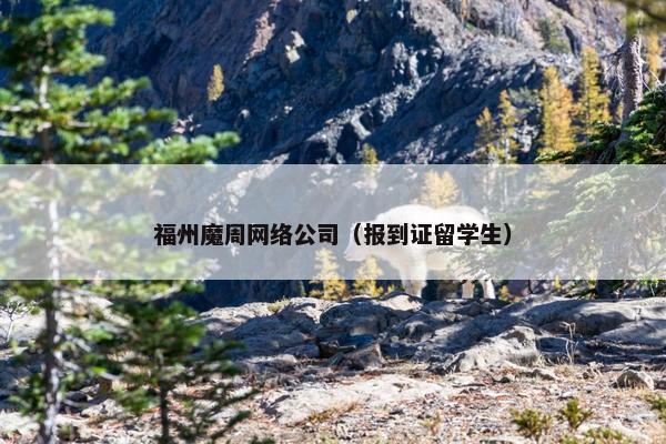 福州魔周网络公司（报到证留学生）