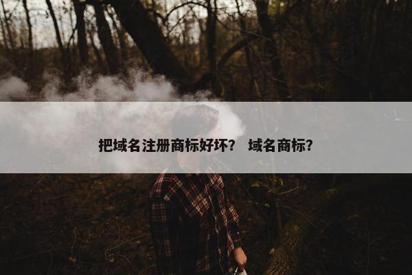 把域名注册商标好坏？ 域名商标？