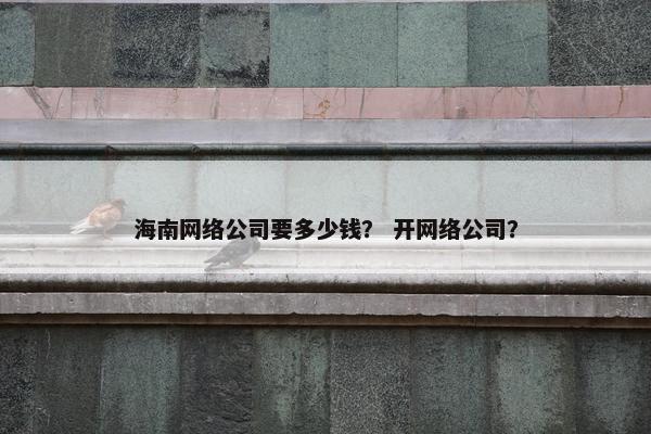 海南网络公司要多少钱？ 开网络公司？