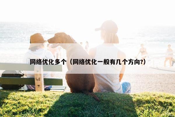 网络优化多个（网络优化一般有几个方向?）