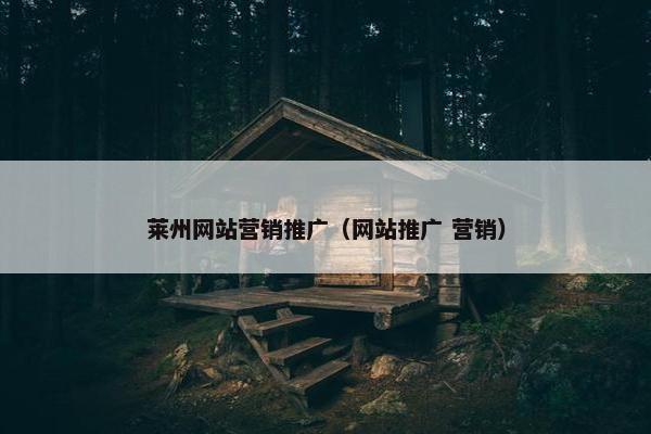莱州网站营销推广（网站推广 营销）