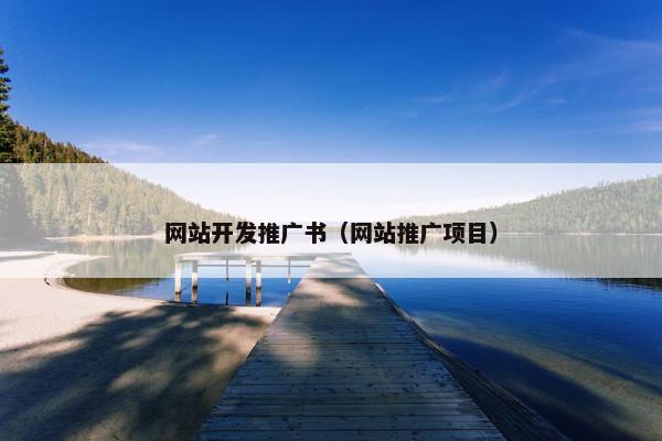 网站开发推广书（网站推广项目）