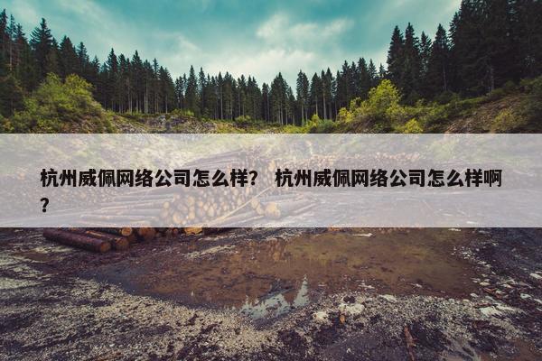 杭州威佩网络公司怎么样？ 杭州威佩网络公司怎么样啊？