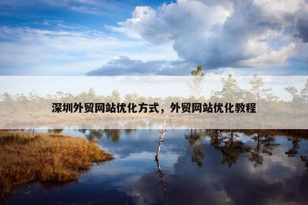 深圳外贸网站优化方式，外贸网站优化教程