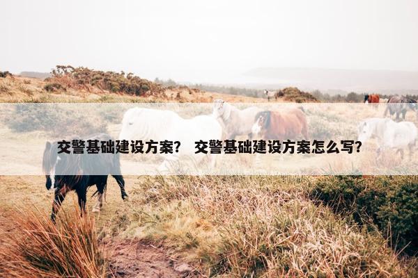 交警基础建设方案？ 交警基础建设方案怎么写？