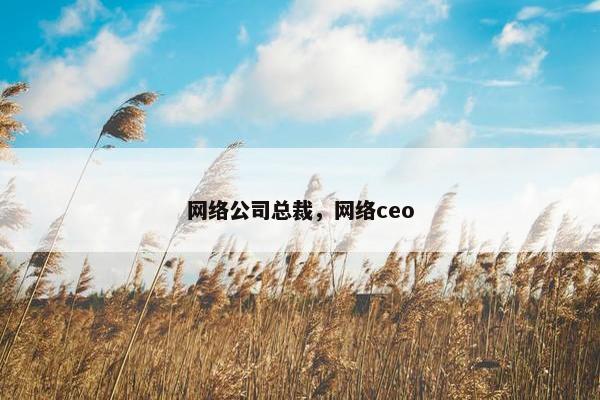 网络公司总裁，网络ceo