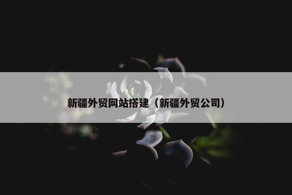 新疆外贸网站搭建（新疆外贸公司）