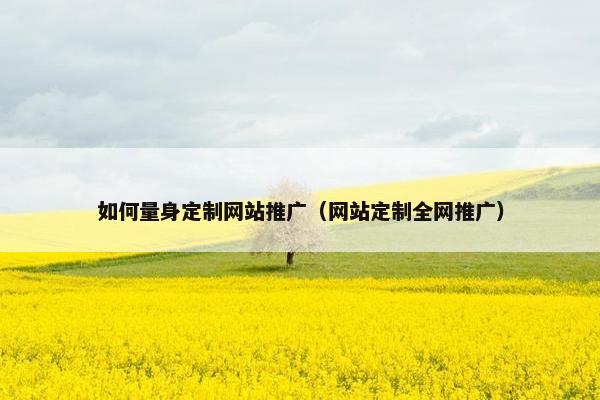 如何量身定制网站推广（网站定制全网推广）