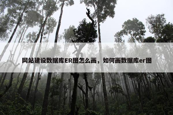 网站建设数据库ER图怎么画，如何画数据库er图