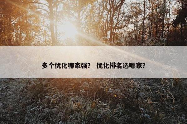 多个优化哪家强？ 优化排名选哪家？