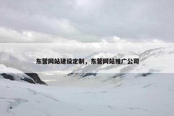 东营网站建设定制，东营网站推广公司