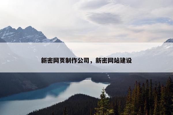 新密网页制作公司，新密网站建设