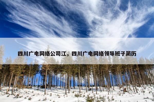 四川广电网络公司江，四川广电网络领导班子简历