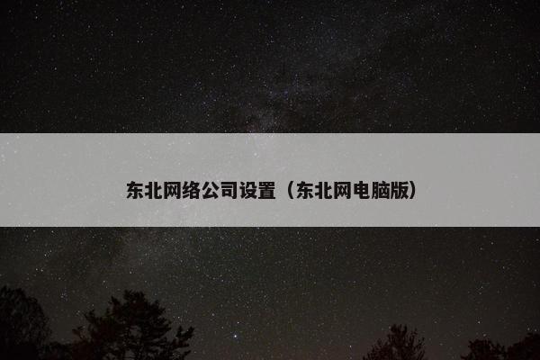 东北网络公司设置（东北网电脑版）