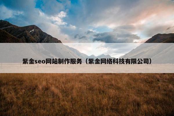 紫金seo网站制作服务（紫金网络科技有限公司）
