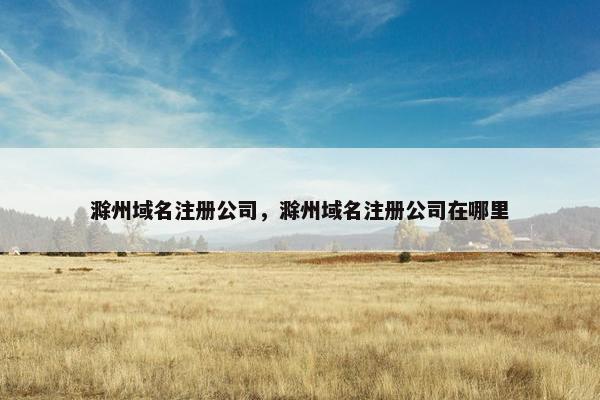 滁州域名注册公司，滁州域名注册公司在哪里