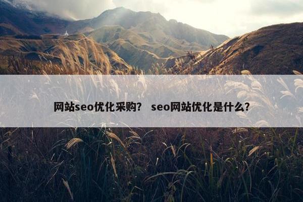 网站seo优化采购？ seo网站优化是什么？