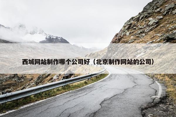 西城网站制作哪个公司好（北京制作网站的公司）