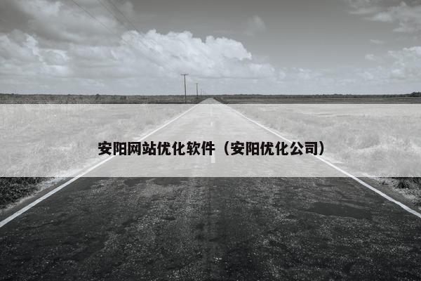 安阳网站优化软件（安阳优化公司）