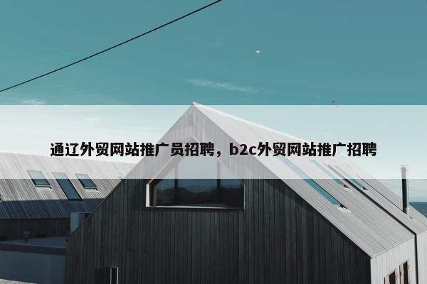 通辽外贸网站推广员招聘，b2c外贸网站推广招聘