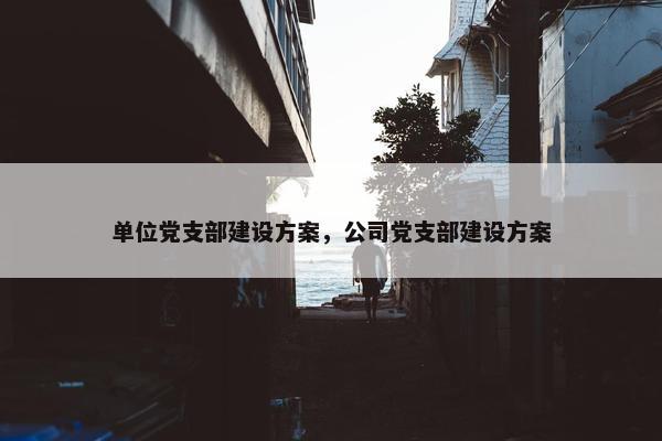 单位党支部建设方案，公司党支部建设方案