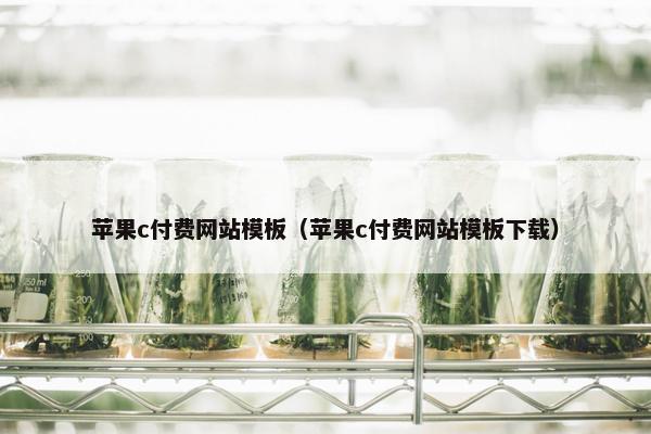 苹果c付费网站模板（苹果c付费网站模板下载）
