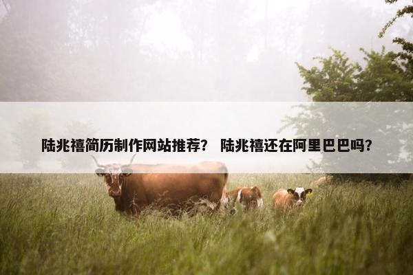 陆兆禧简历制作网站推荐？ 陆兆禧还在阿里巴巴吗？