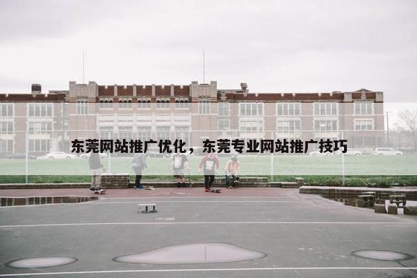 东莞网站推广优化，东莞专业网站推广技巧