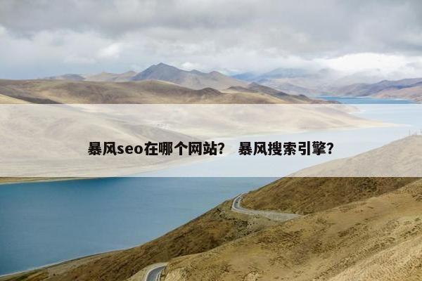 暴风seo在哪个网站？ 暴风搜索引擎？