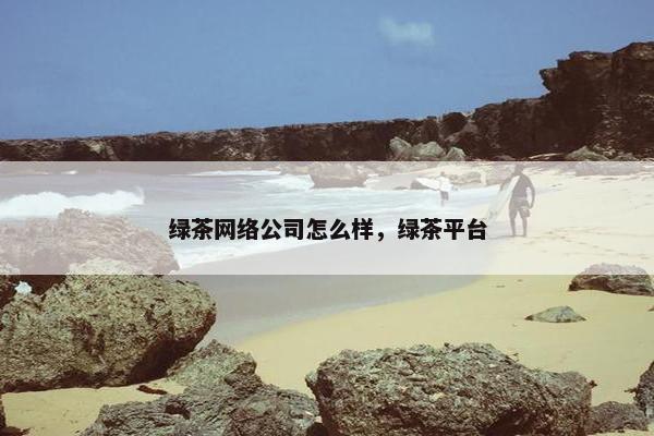 绿茶网络公司怎么样，绿茶平台