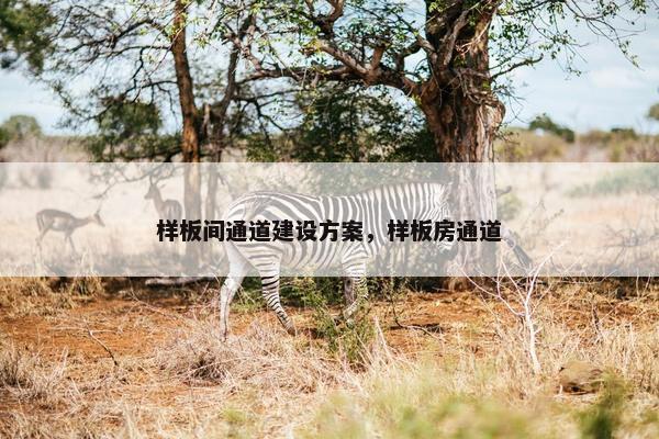样板间通道建设方案，样板房通道
