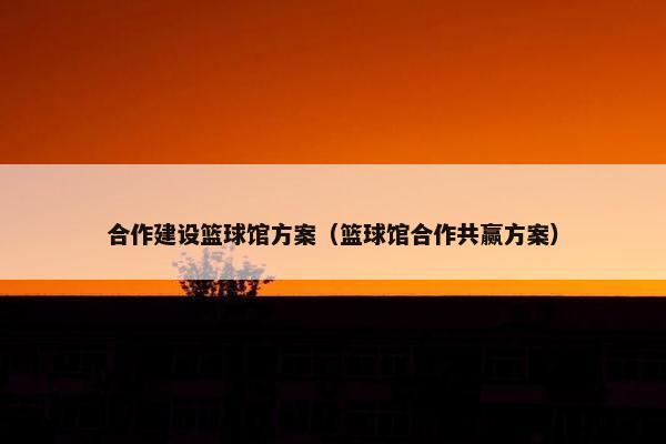 合作建设篮球馆方案（篮球馆合作共赢方案）