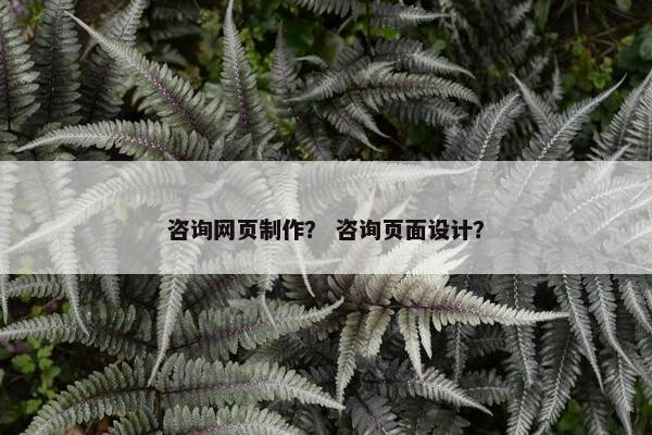 咨询网页制作？ 咨询页面设计？