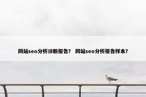 网站seo分析诊断报告？ 网站seo分析报告样本？
