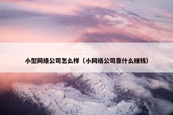 小型网络公司怎么样（小网络公司靠什么赚钱）