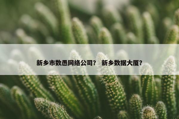 新乡市数愚网络公司？ 新乡数据大厦？