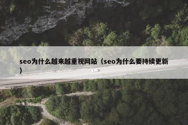 seo为什么越来越重视网站（seo为什么要持续更新）