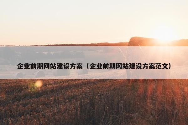 企业前期网站建设方案（企业前期网站建设方案范文）