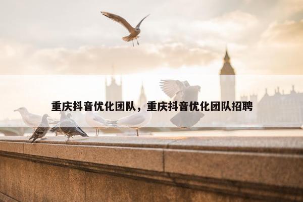 重庆抖音优化团队，重庆抖音优化团队招聘