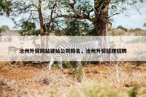 沧州外贸网站建站公司排名，沧州外贸经理招聘