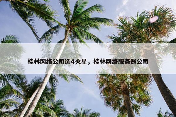 桂林网络公司选4火星，桂林网络服务器公司