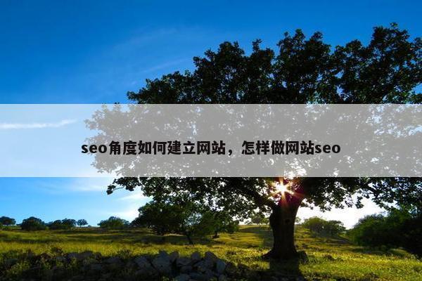seo角度如何建立网站，怎样做网站seo
