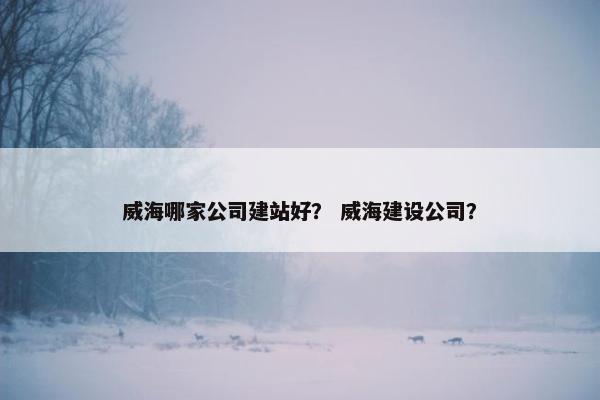 威海哪家公司建站好？ 威海建设公司？