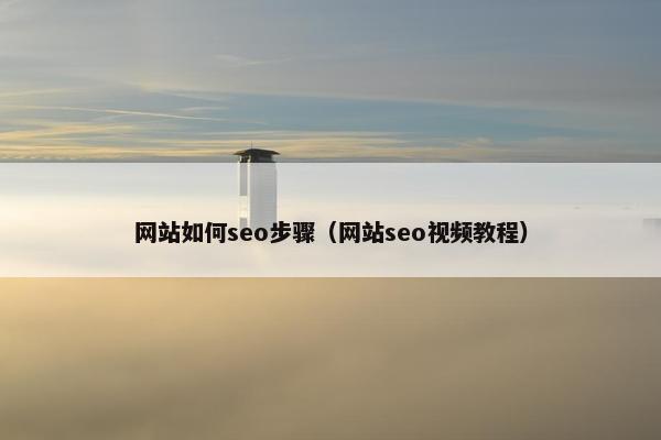 网站如何seo步骤（网站seo视频教程）