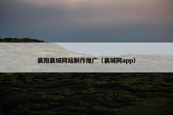 襄阳襄城网站制作推广（襄城网app）