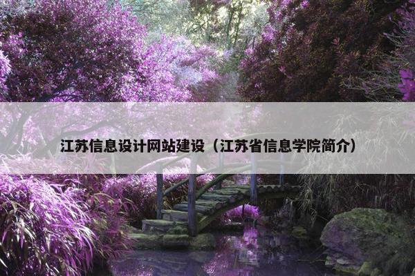 江苏信息设计网站建设（江苏省信息学院简介）