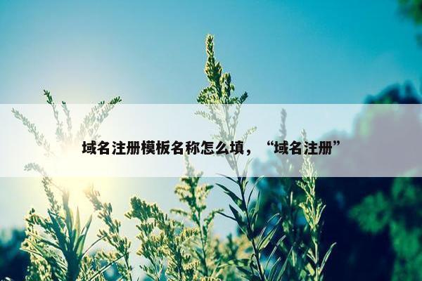 域名注册模板名称怎么填，“域名注册”