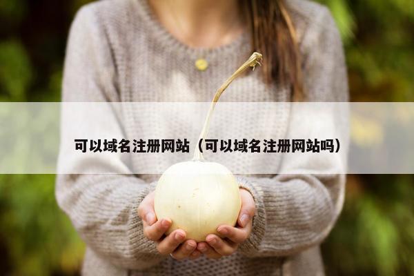 可以域名注册网站（可以域名注册网站吗）