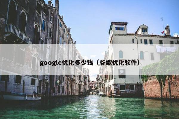 google优化多少钱（谷歌优化软件）
