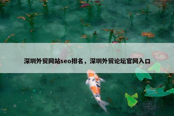 深圳外贸网站seo排名，深圳外贸论坛官网入口